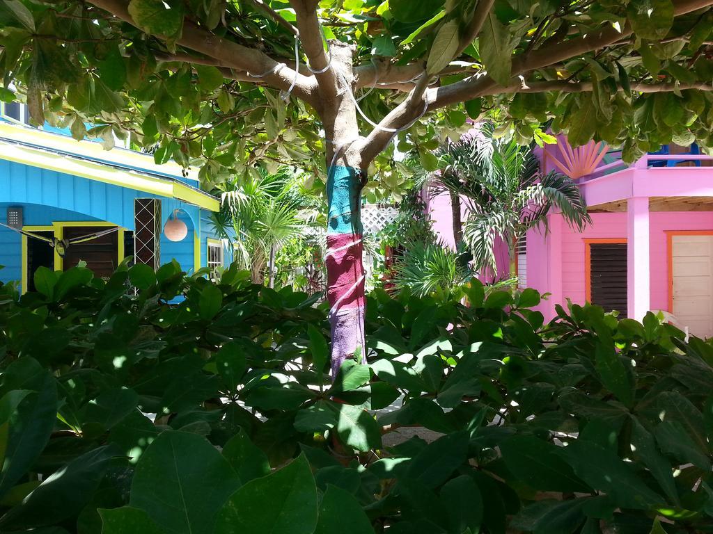 Sea N Sun Guest House Caye Caulker Zewnętrze zdjęcie