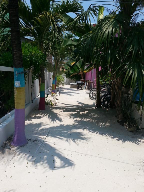 Sea N Sun Guest House Caye Caulker Zewnętrze zdjęcie